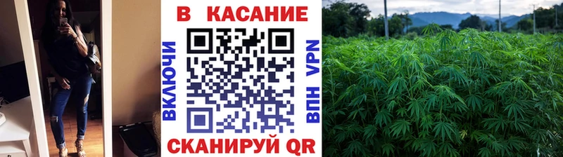 Где купить Бийск Каннабис Псилоцибиновые грибы Cocaine Гашиш Меф мяу мяу Alpha PVP