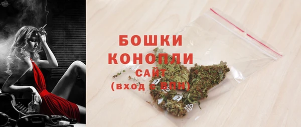 дурь Арсеньев
