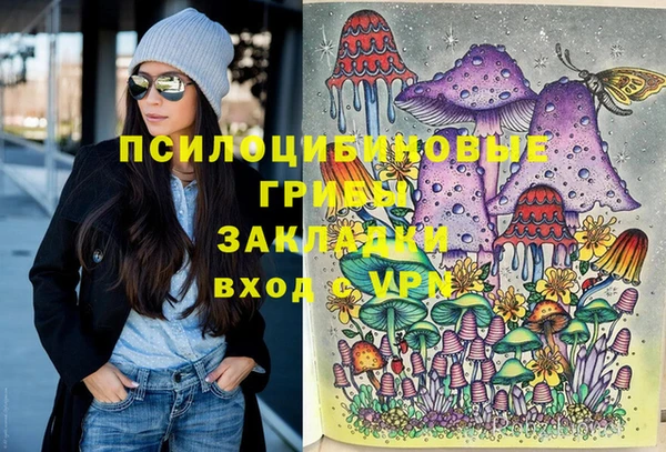 сатива Армянск