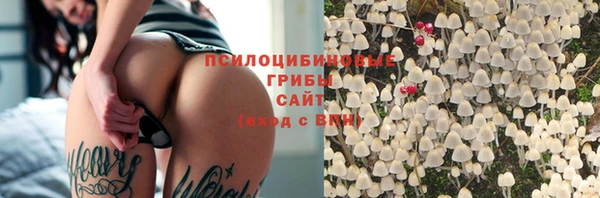 сатива Армянск