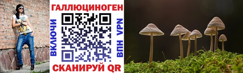 купить наркотик Бийск Псилоцибиновые грибы ЛСД