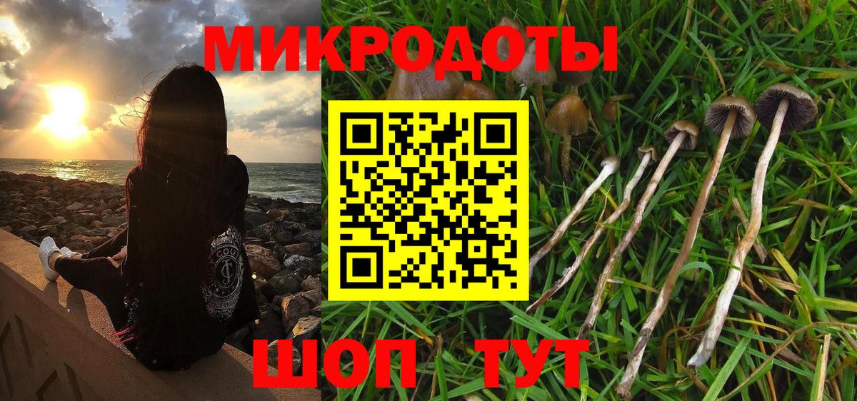 Галлюциногенные грибы Psilocybine cubensis Бийск