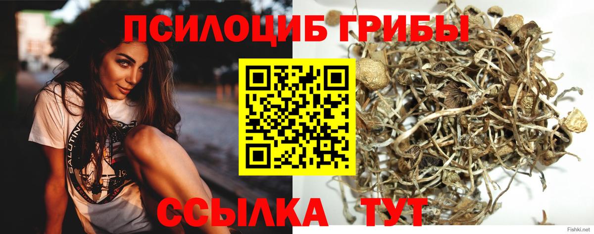 Галлюциногенные грибы Magic Shrooms  Вход с VPN  дарнет шоп  Бийск 