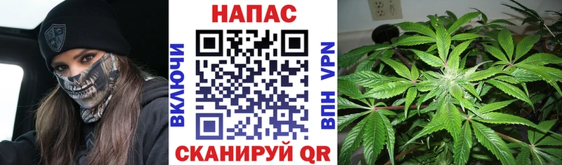 купить   Бийск  Марихуана Bruce Banner 